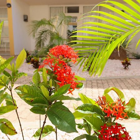 Montana Eco Resort Aruba Oranjestad Dış mekan fotoğraf